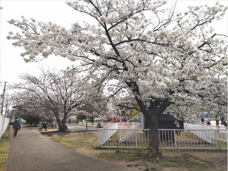 小寄公園（神戸市）